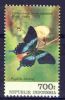 Vlinders-Indonesie-Zonn-1553-xx
